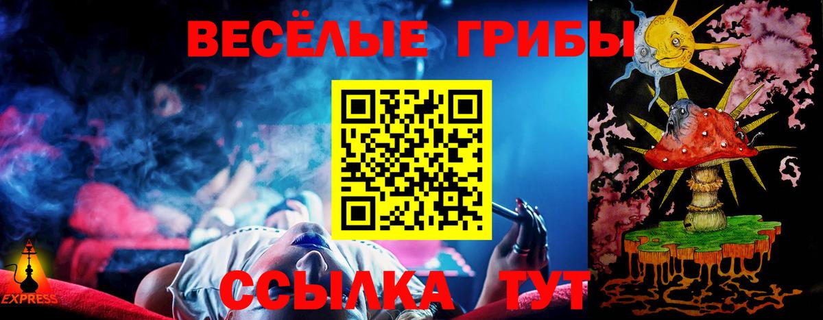 Галлюциногенные грибы Magic Shrooms Санкт-Петербург